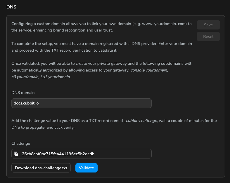 Custom DNS domain challenge